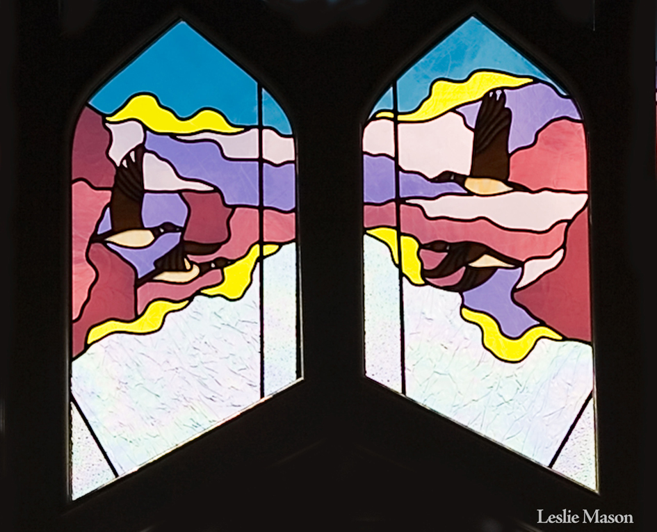 snow geese in flight