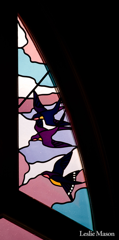 swallows in the corner of a window