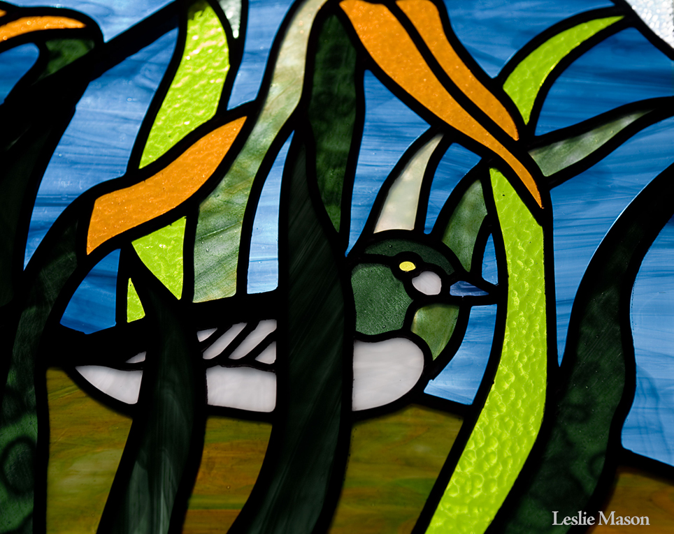 a closeup of a small duck