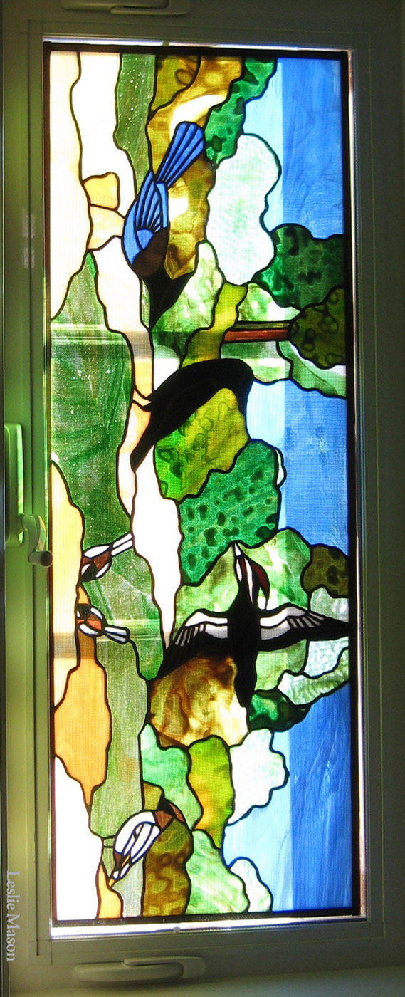 a stellar jay, a crow, and a hooded duck