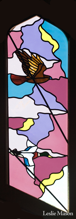 closeup of a hawk and a mallard in flight