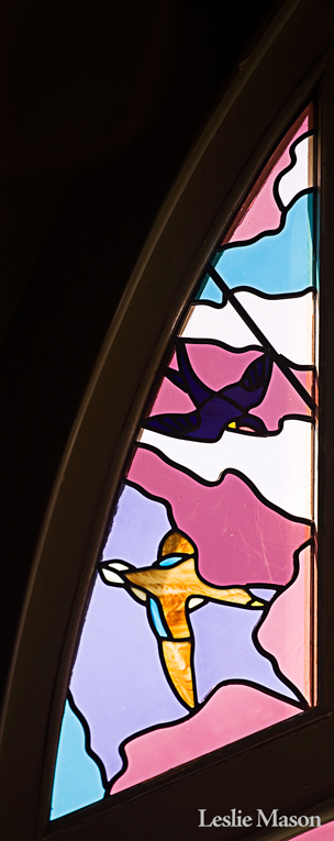 a swallow and a golden duck in flight