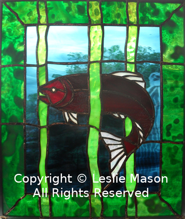 a salmon curving through seaweed